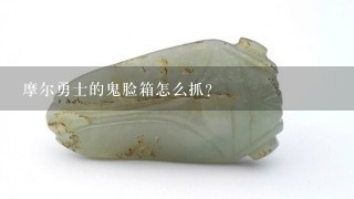 摩尔勇士的鬼脸箱怎么抓？