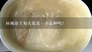 核桃帝王和大花是1个品种吗？