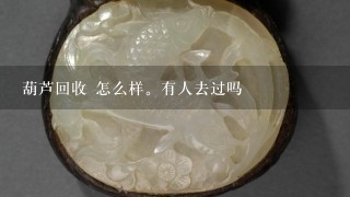 葫芦回收 怎么样。有人去过吗