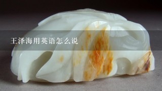 王泽海用英语怎么说