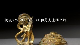 梅花728 RG-DB-309和劳力士哪个好