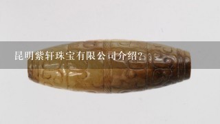 昆明紫轩珠宝有限公司介绍？