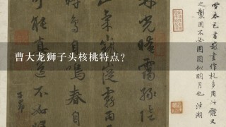 曹大龙狮子头核桃特点？