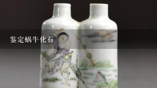 鉴定蜗牛化石