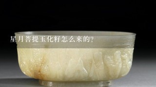 星月菩提玉化籽怎么来的？