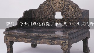 梦幻，今天用点化石洗了个牛头（牛头买的野的）先用66洗了下出了3技（高比，低驱，高鬼）用点化石又洗了下，多了个夜战，4技，资质暴了，就成长1.08 值多少钱