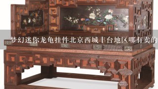 梦幻迷你龙龟挂件北京西城丰台地区哪有卖的?