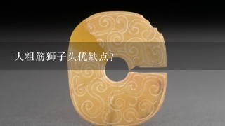 大粗筋狮子头优缺点？