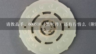 请教高手，600510（黑牡丹）还有行情么（附图）