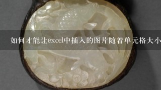 如何才能让excel中插入的图片随着单元格大小变化而变化