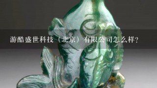 游酷盛世科技（北京）有限公司怎么样？