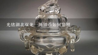 光绪湖北双龙1两银币如何鉴别