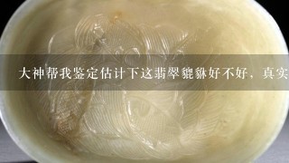 大神帮我鉴定估计下这翡翠貔貅好不好，真实价