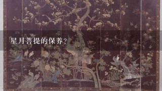 星月菩提的保养？