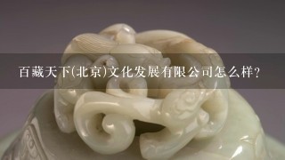 百藏天下(北京)文化发展有限公司怎么样？