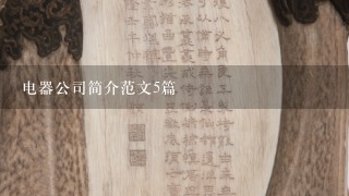 电器公司简介范文5篇