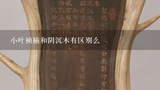 小叶祯楠和阴沉木有区别么