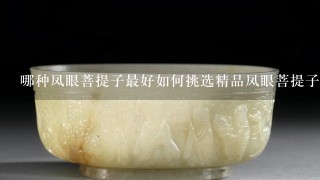 哪种凤眼菩提子最好如何挑选精品凤眼菩提子