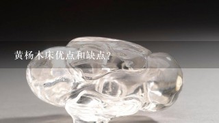 黄杨木床优点和缺点？