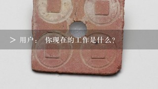 > 用户： 你现在的工作是什么？