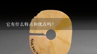 它有什么特点和优点吗？