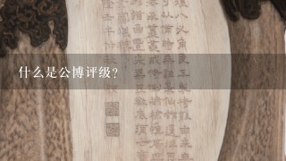 什么是公博评级？