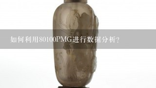 如何利用80100PMG进行数据分析?